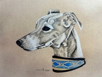 Image 2 of Charcoal Pet Portrait