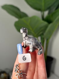 Image 7 of CHOOSE YOUR OWN MINI SOAPSTONE DINOSAURS