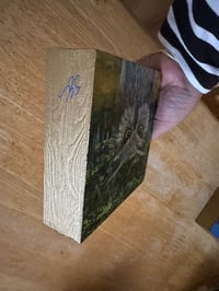 Image 3 of Acrylic Oil and Graphite painting on Wood “Owl in The Bright Woods” by Sheila Cameron copy