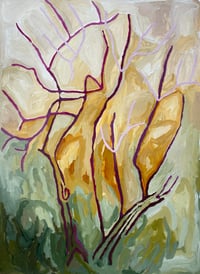 Image 2 of dry Country + water 