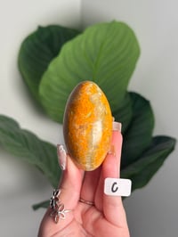 Image 3 of HIGH QUALITY BUMBLE BEE JASPER SHIVAS -INDONESIA-
