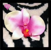 Image of White/Purple Orchid Hair Clip