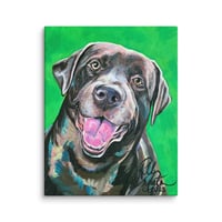 Image 4 of Chocolate Labrador