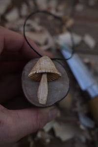 Image 1 of Mushroom 