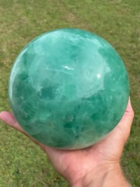 Image 10 of Green Fluorite Sphere Statement Piece #806