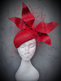 'Zelena' Veiled Red