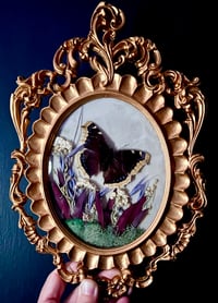 Image 3 of Mourning Cloak Butterfly Botanical Frame
