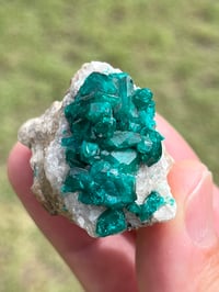 Image 16 of Dioptase Specimen | Congo #3011
