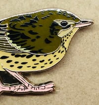 Image 4 of Lanceolated Warbler - October 2021 - UK Birding - Enamel Pin Badge