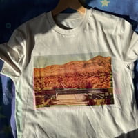 Joshua Tree