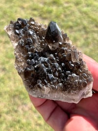 Image 11 of Smoky Quartz Crystal Points Cluster | Brazil #2971