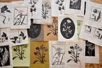 Image 1 of Misprints- Imperfect/ Reject Lino Prints 