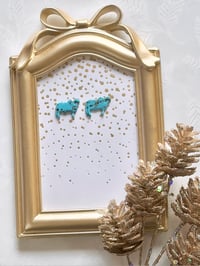 Image 3 of Turquoise Stud Brahmans 