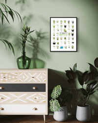 Image 2 of SAN FRANCISCO — MATCHA