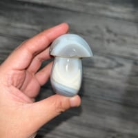 Image 1 of Orca Agate Musroom A