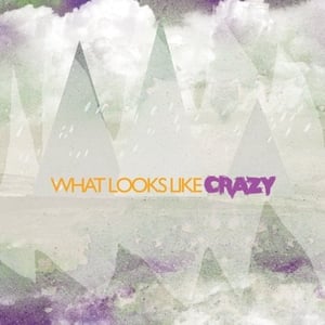 Image of What Looks Like Crazy - Self Titled EP