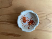 Image 1 of Roaches Only Ashtray 03