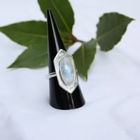 Image 1 of Protect Me (Moonstone)