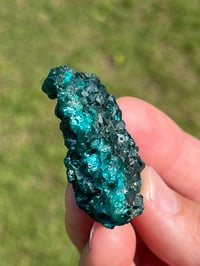 Image 8 of Dioptase Specimen #2214