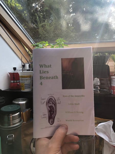 Image of What Lies Beneath 4 (zine)