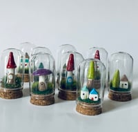 Image 1 of Fairy Domes