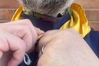 Image 10 of Hooded Contrast Chore Jacket