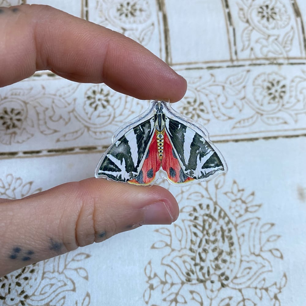 Image of Jersey Tiger Moth Pin
