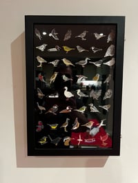 Image 2 of Pin Badge Display Case - 3 Sizes Available