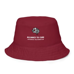 Image of Cure Driver Reversible bucket hat