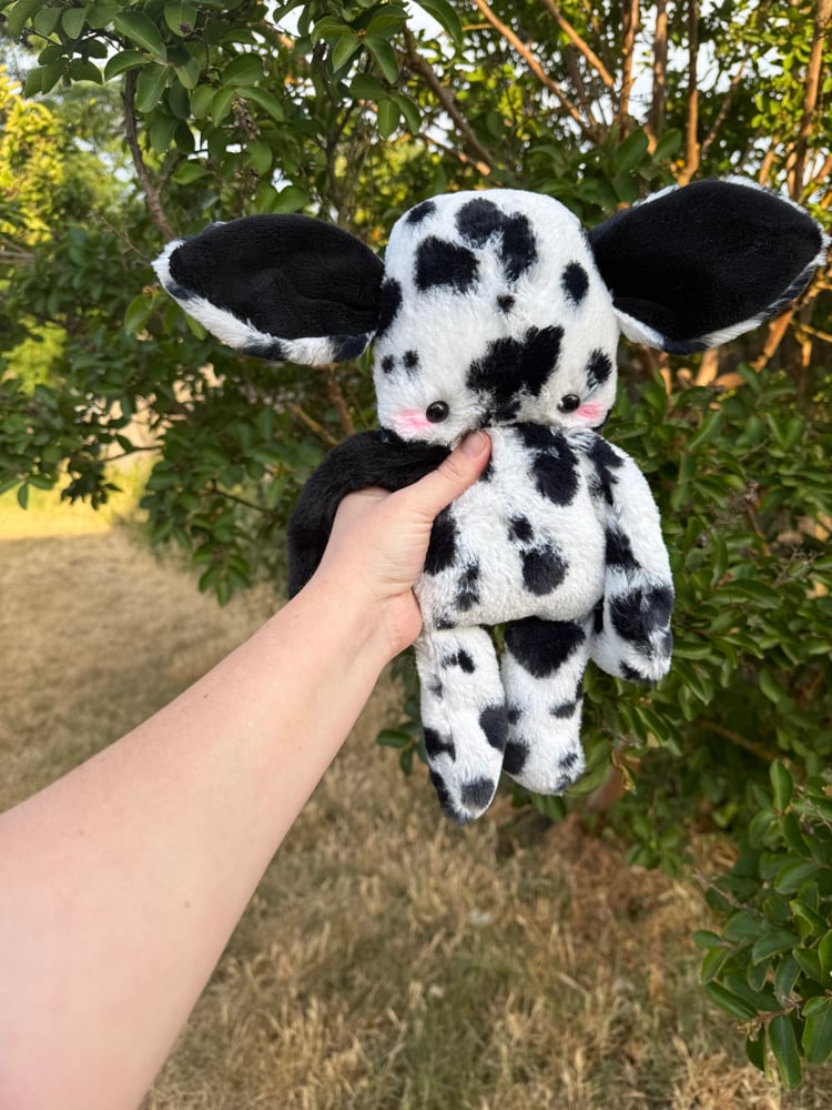 Image of spotty baby