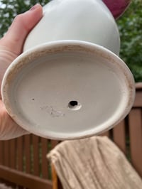 Image 4 of Rose Painted Calathea in White Head Pot