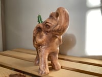 Image 2 of African Milk Tree in Ceramic Elephant