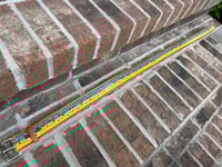 Image 3 of Trout Belt