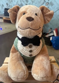 Image 1 of Pet Collar