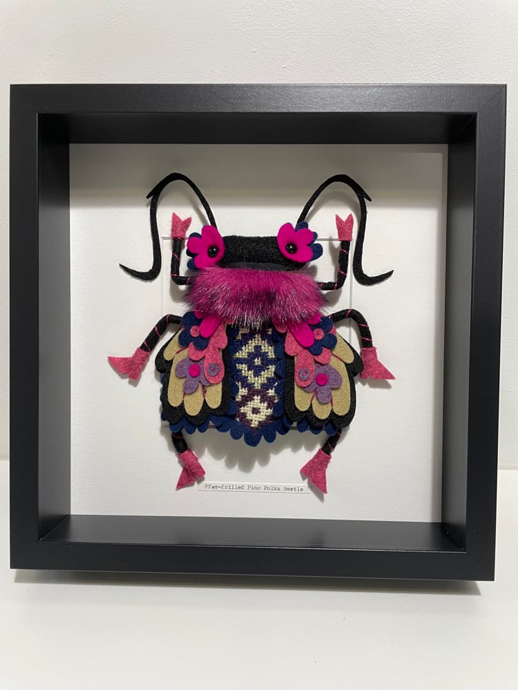 Image of Ffwr-frilled Pinc Polka Beetle