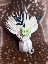 Image 3 of White Wings 