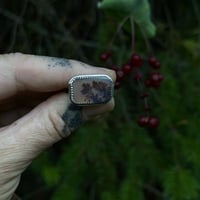 Image 1 of Autumn Dendrite Bloom Ring~7.5