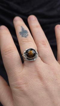 Image 3 of Ladybird adjustable ring