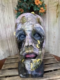 Image 1 of Swamp Rot