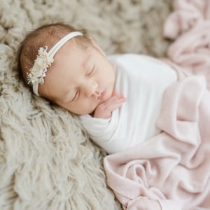 Image of Black Friday Newborn Sessions 