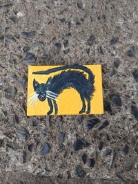 Image 6 of Scaredy Cat