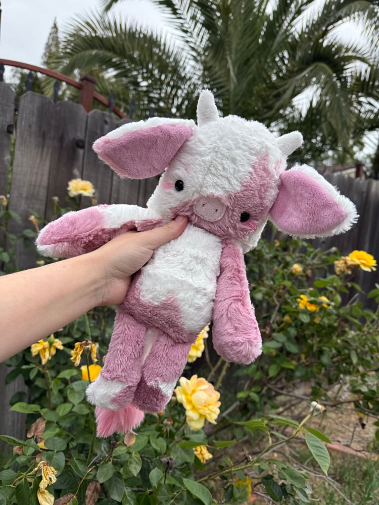 Image of Strawberry cow