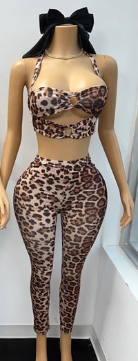Cheetah Sexy 