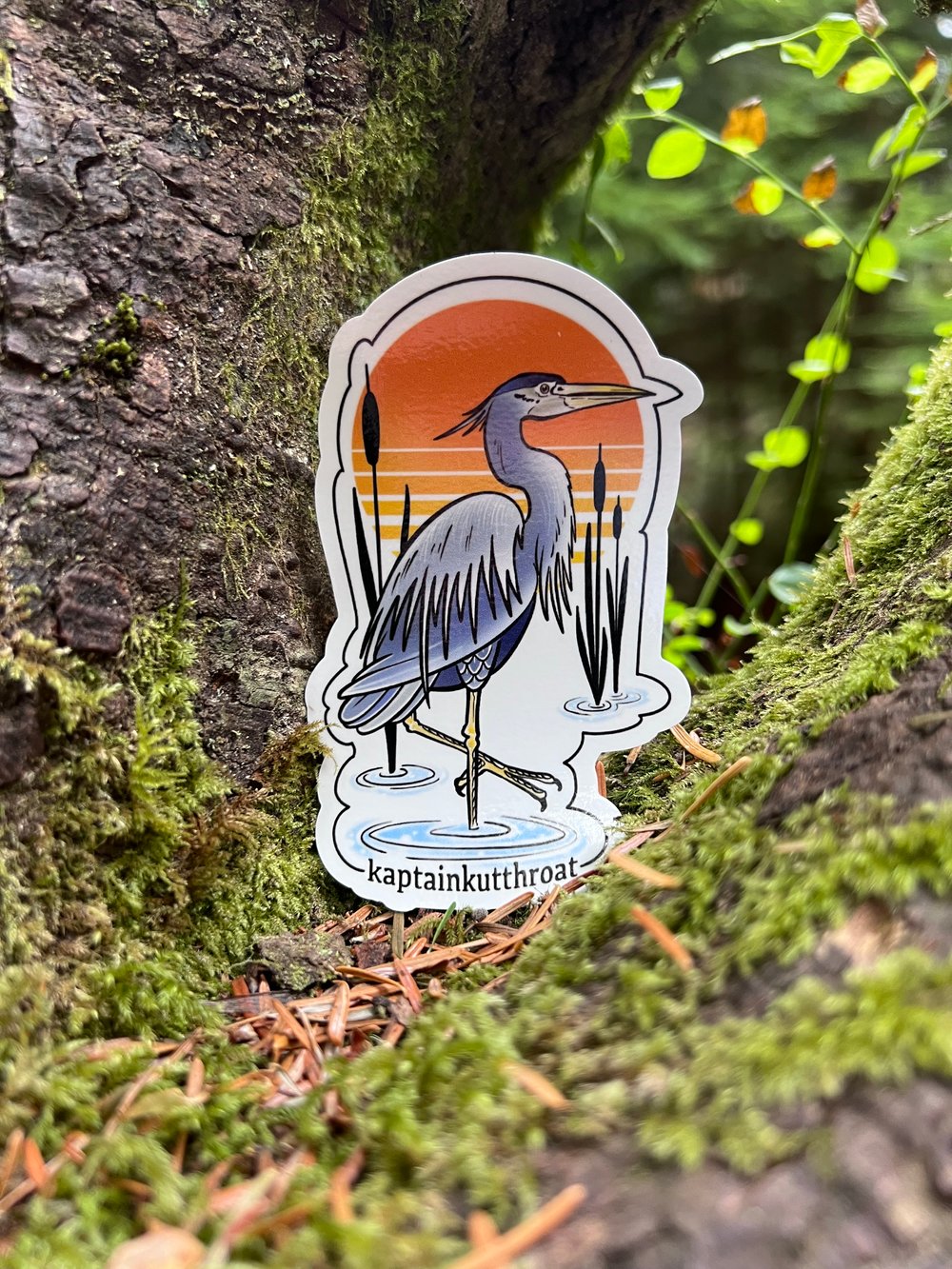 Great Blue Heron 