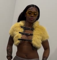 Image 3 of Sadity Fur