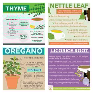 Image of Nervine & Virus Figher Tea Set