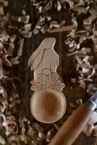 Image 4 of The Star Gazing Hare Scoop 