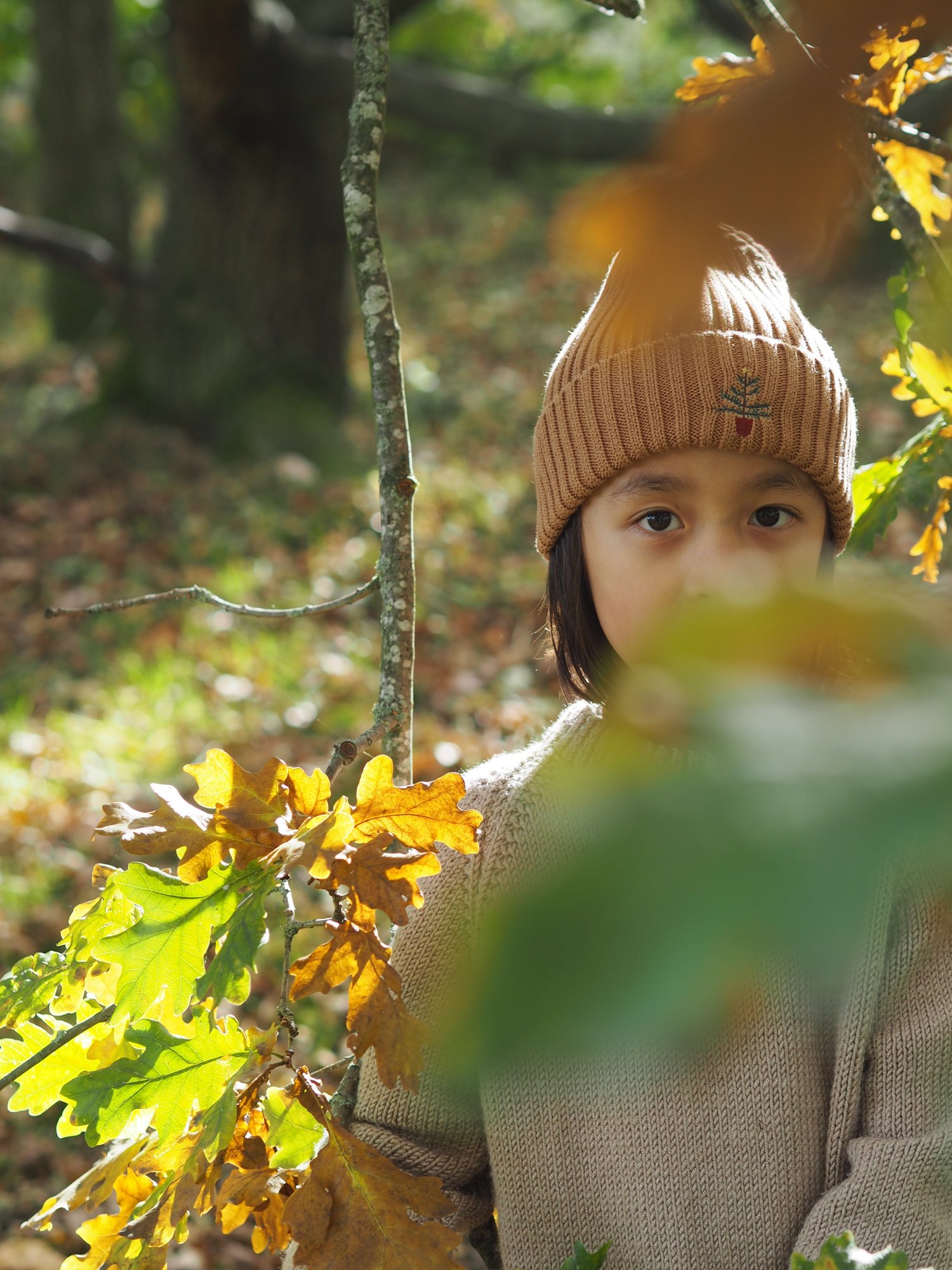 Image of Beanie Hats 