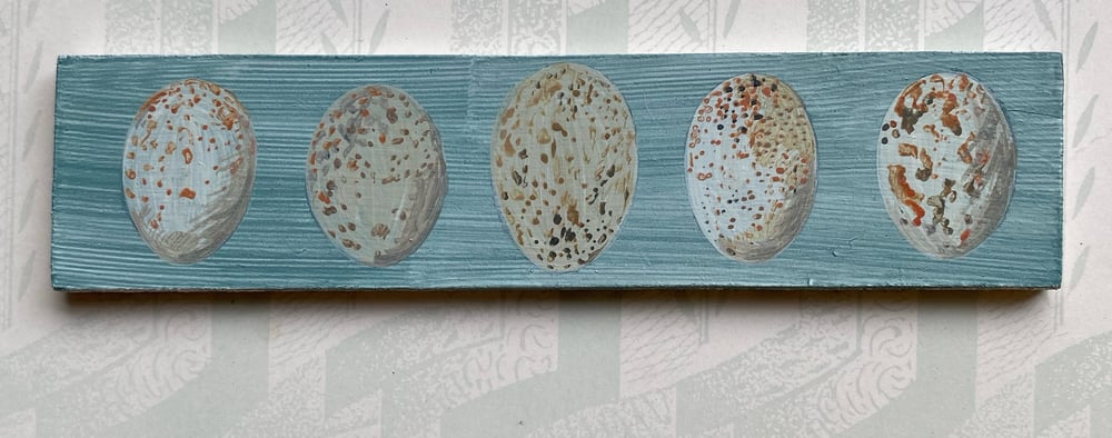 Image of Five eggs (A)