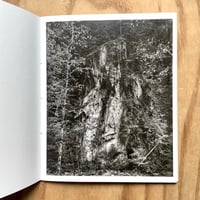Image 3 of Awoiska van der Molen - Living Mountain 